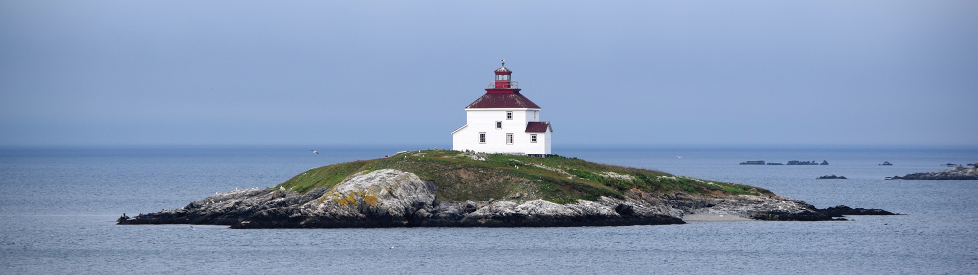 The Atlantic Association of CBDCs launched Ambitions in the spring of 2023. The bilingual magazine showcases success stories of clients from across the rural Atlantic region.